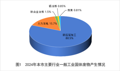 嘉峪關(guān)市2024年固體廢物污染環(huán)境防治信息公告——聚焦鋼壓延加工行業(yè)